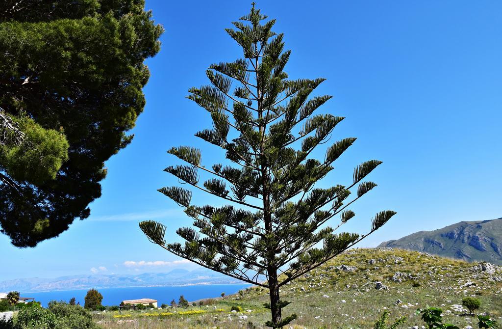 Rustico La Maidda Hotel Scopello  Eksteriør billede